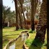 وطن النهار profil fotoğrafı