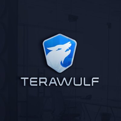 TeraWulfInc's profile picture
