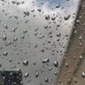 🕊️ profil fotoğrafı