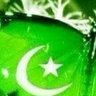 sharjeel 的头像