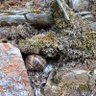 Фото профиля CARACOLdeArroyo