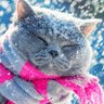 maia's profile picture
