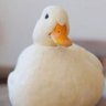 Profilbild von キャサリン