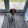 Rod Minty profil fotoğrafı