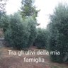 Фото профиля Angelo