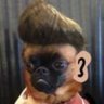 wise neanderthal 的头像