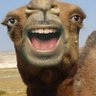 ImMushroom's profile picture
