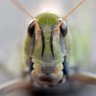 C.W.C.'s profile picture