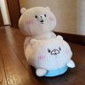 ぶわこ🍄ぶなしめじ's profile picture