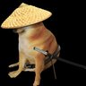 Handiinu 的头像