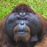 m's profile picture