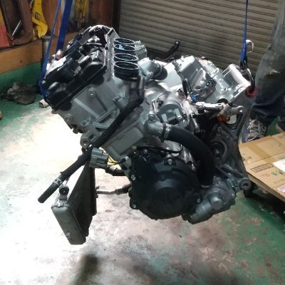 sterilgarda_YZF's profile picture