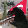 Nurten Demiraco's profile picture