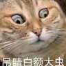 资本家的走狗's profile picture