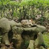 保证睡眠's profile picture