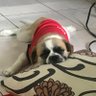momskyme's profile picture
