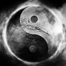Maximus141's profile picture