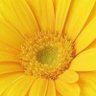 Profilbild von lavendory