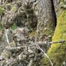 GI Ebor profil fotoğrafı