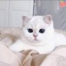 lulú~'s profile picture