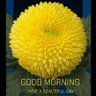 harshmani mishra's profile picture