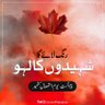 Фото профиля Ahmed Malik