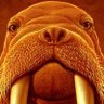 ALDO's profile picture