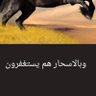 سلطان آلعناب profil fotoğrafı