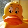 Anant's profile picture