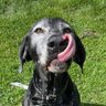 Eylesy's profile picture