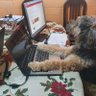 DD profil fotoğrafı
