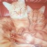 Фото профиля NeugierKatze56