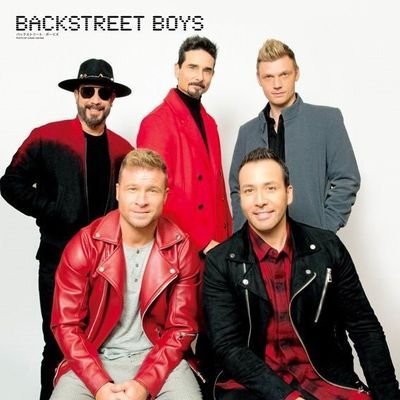 BSB_JAPAN1's profile picture