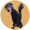 Profilbild von Lyn Gianni
