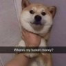 Фото профиля DOGEBOY