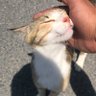 Vedat Kara profil fotoğrafı