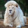 Profilbild von khaled