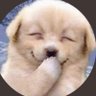 ぴーまん農場's profile picture