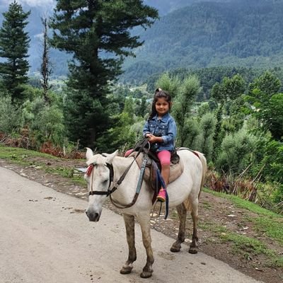 shangpal's profile picture