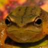 Profilbild von Eugenald