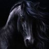 The Dark Horse 的头像