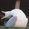 Profilbild von Doe