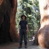 Kevin Lee's profile picture