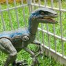 Фото профиля Jurassic8santi