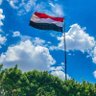 تويتر 🇾🇪's profile picture