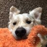 Kira's profile picture