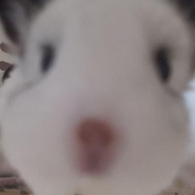 돌돌이한달에1km쓰는사람's profile picture