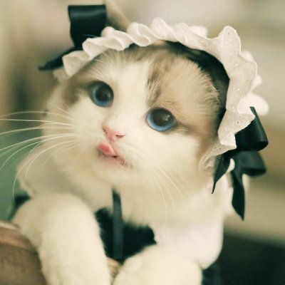m2WNZjQSTZviF31's profile picture