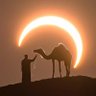 Profilbild von فهد الشهراني .
