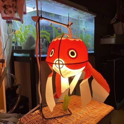 カワノ工業@金魚ちょうちん柳井(^_^)v's profile picture